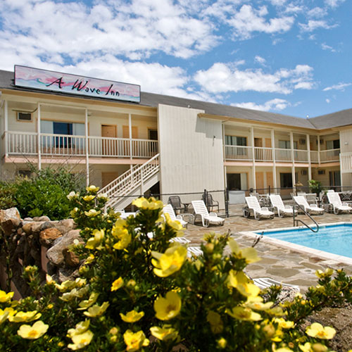 A Wave Inn