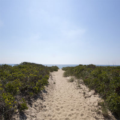 Beach Plum Motel
